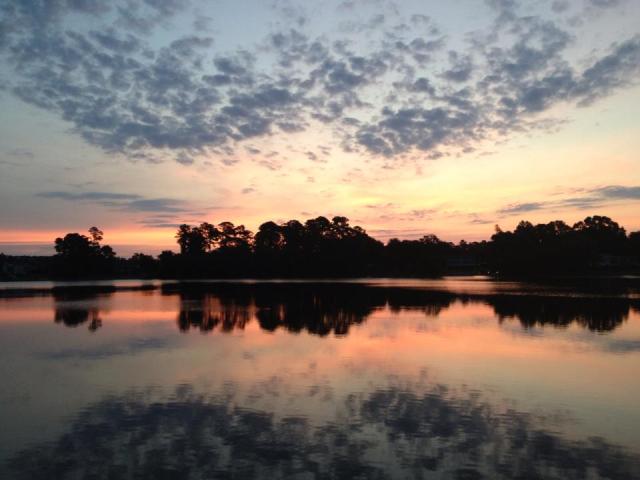 1001460_10151736416273688_1777667065_n