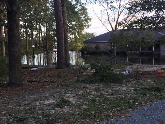 14523237_10154546712088688_3841826000314460835_n