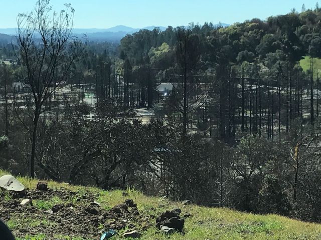 29313358_10156150947223688_6213407149922451456_o