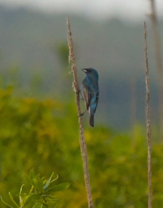 ipo0FetCoIAd9HmbANAlmjyV6kA2XCFunH6ZU4bruEQeJxFPc