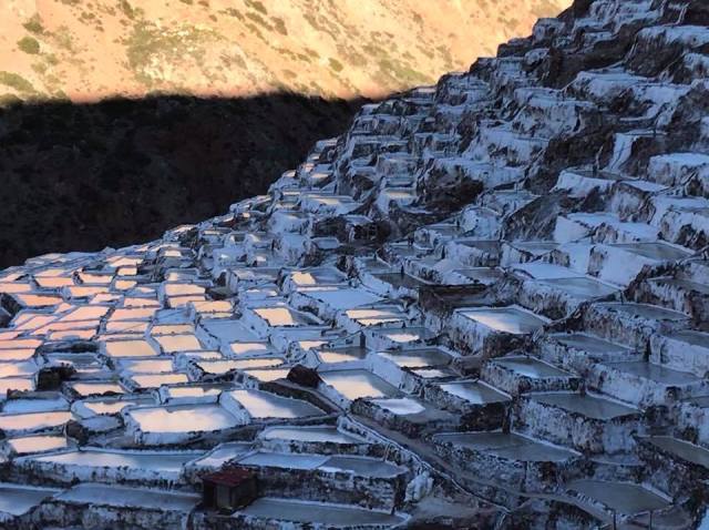 36679834_10156428702663688_7595464704504365056_n