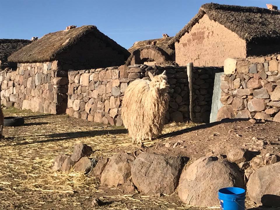 36715215_10156428734753688_7523260252649684992_n