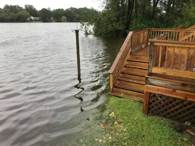 41755201_10156605808493688_1145908862394564608_n