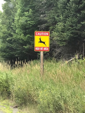 68394077_246821372867885_8152510138750599168_n