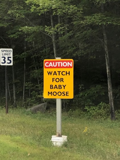 68594829_2829580670404533_5219311946783784960_n