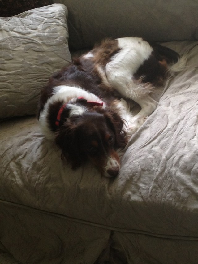 78966547_600018410768719_1853251029282324480_n