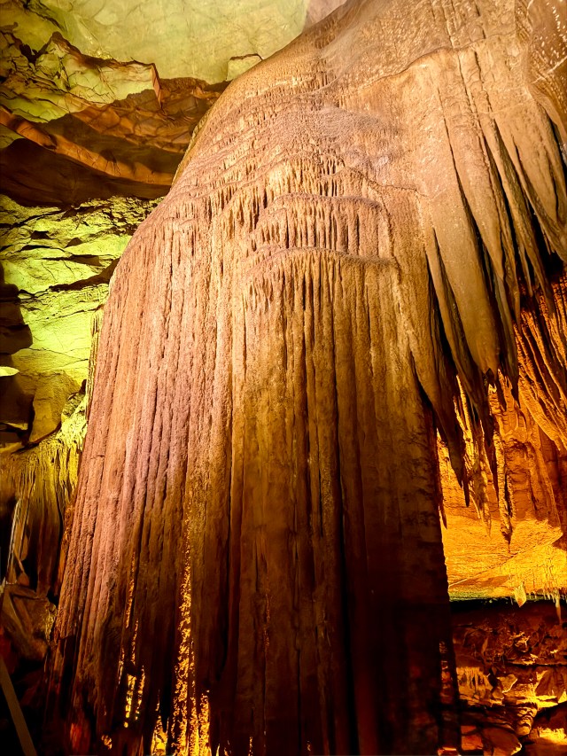 Mammoth Cave National Park🧐 | Workplace Navigator